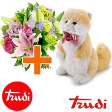Trudi 36cm cat soft toy (Curated)